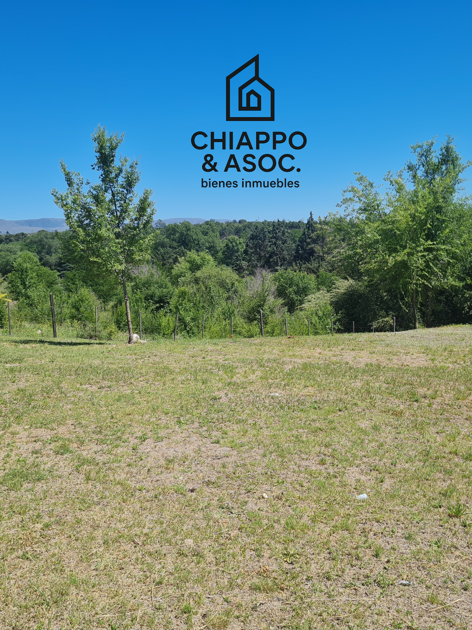 lote - Foto 5