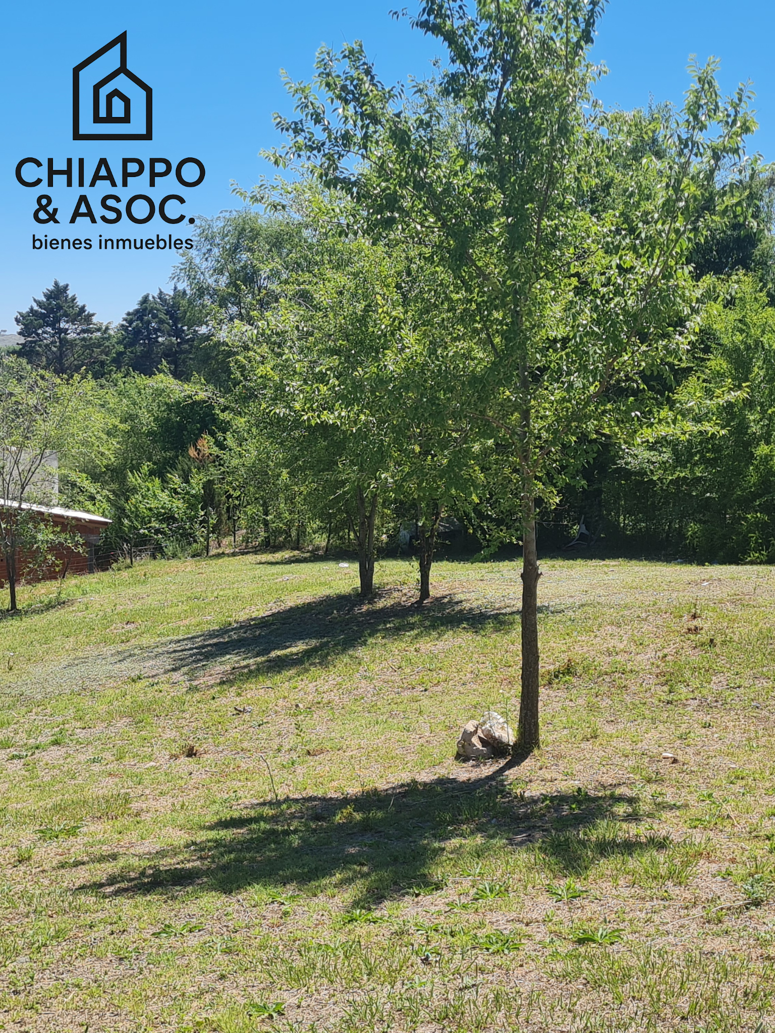 lote - Foto 6