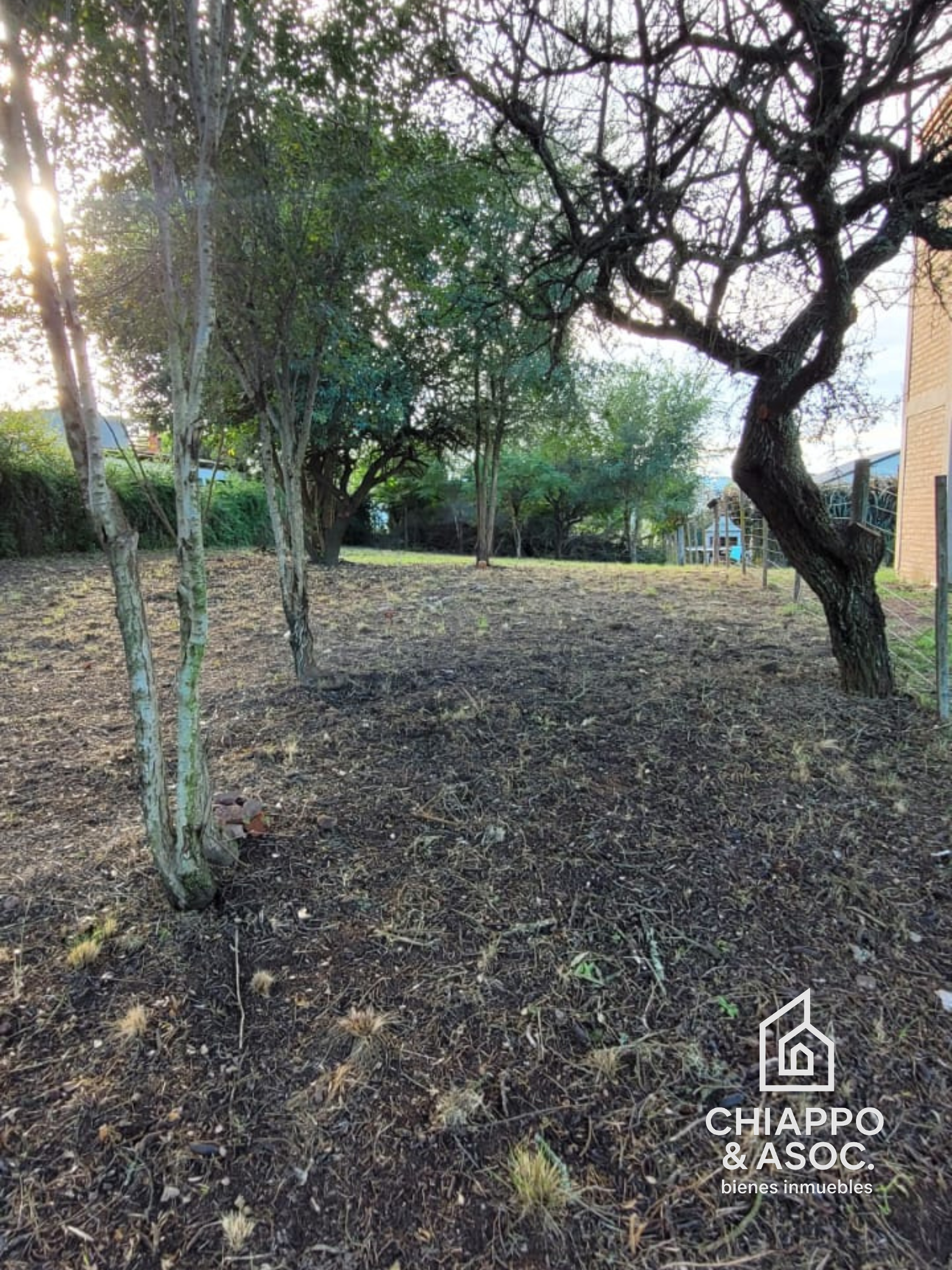 lote - Foto 3