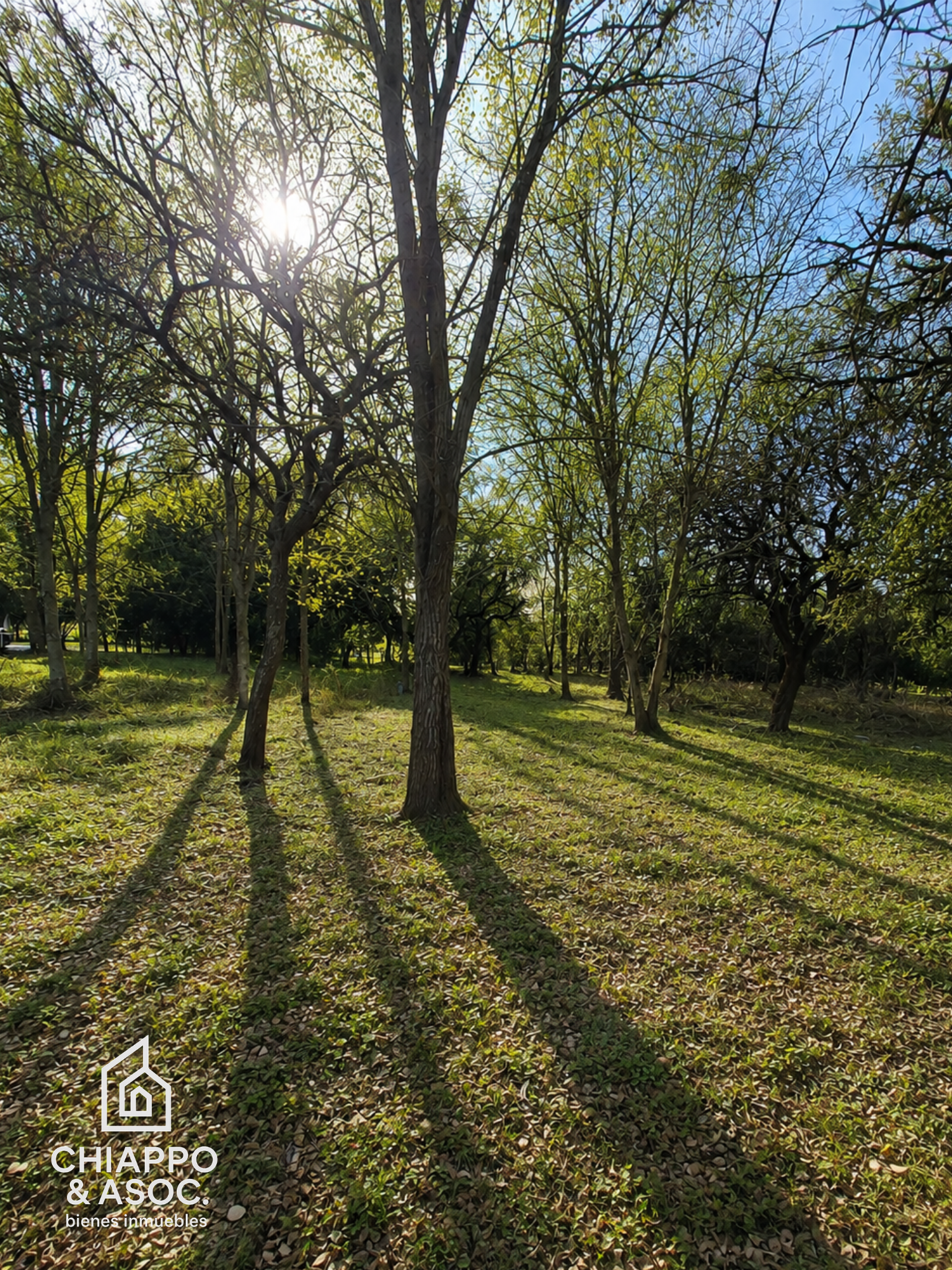 Lote en Cuatro Horizontes , Villa General Belgrano - Foto 1