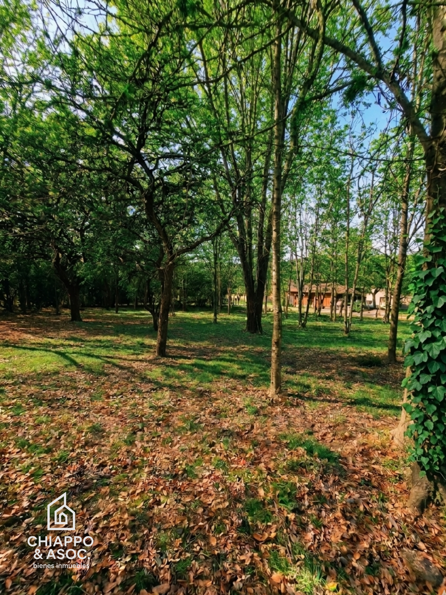 Lote en Cuatro Horizontes , Villa General Belgrano - Foto 3