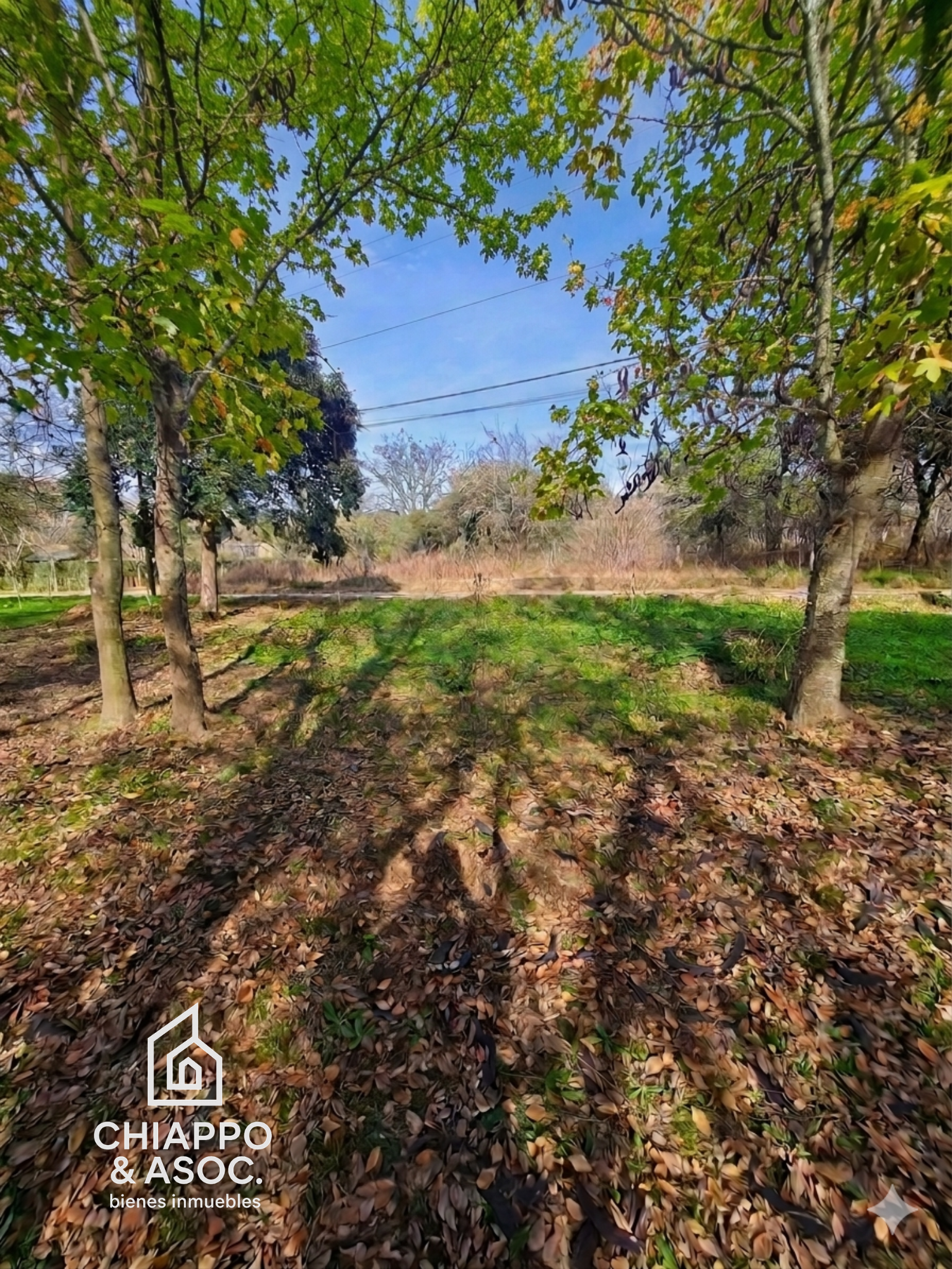 Lote en Cuatro Horizontes , Villa General Belgrano - Foto 4
